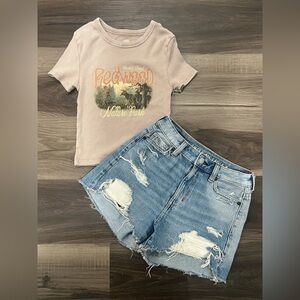 American Eagle shorts